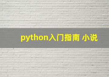 python入门指南 小说